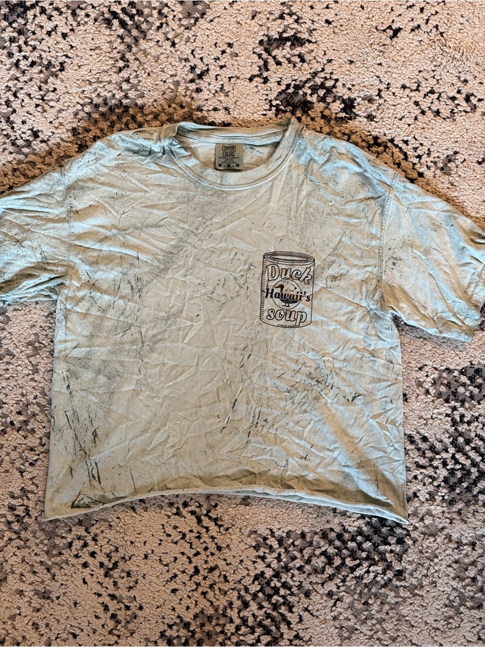 Comfort Colors Light Blue Duck Hawaii Soup Graphic Tee